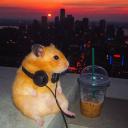 PaxorTV Discord Server Banner