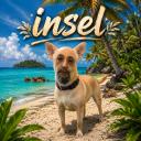 Insel Discord Server Banner
