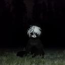 Community. Org Discord Server Banner