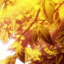 SignalStrike FX Discord Server Banner