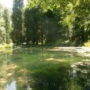 「 ɢʀᴏᴠᴇ . 𖡼 」 Discord Server Banner