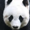 Pandusie Discord Server Banner