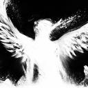 Zenith Icon