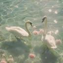 Serenity Lounge Discord Server Banner