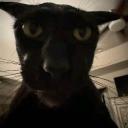 Larry's server Discord Server Banner