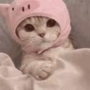 Cσɱϝყ Cσɳɳҽɾ Discord Server Banner