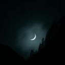 Blood By Moonlight - Warriors RP Discord Server Banner