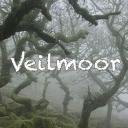 Veilmoor Discord Server Banner