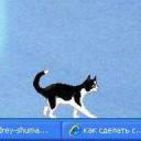 V1bono Official Server Discord Server Banner