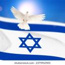 Friends-Israel-Support Discord Server Banner