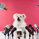 Debaters Daily Discord Server Banner