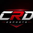CRD Esports Discord Server Banner