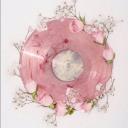 The Tale od Eryndor Discord Server Banner