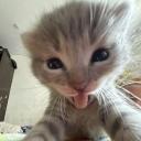 Hoe Discord Server Banner