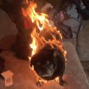 PeachMarrow12's Archive Discord Server Banner