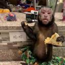 The Elites Discord Server Banner