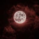 Dark Blood (21+) Discord Server Banner