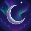 The Moonlit Realm ☾⭒ Discord Server Banner