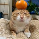 cloud city Discord Server Banner