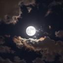 Alone Discord Server Banner