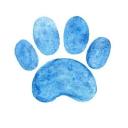 Zoo cp prn Discord Server Banner