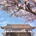 Essento Discord Server Banner