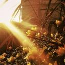 —☆~Aurum's Nest~☆— Discord Server Banner