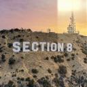 🌴SECTION 8🌴 Discord Server Banner