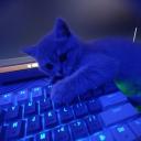 Cozy Blanket Fort Discord Server Banner