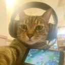 covil da madrugada Discord Server Banner