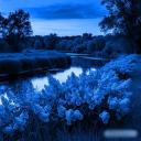 Velvet Nights Discord Server Banner