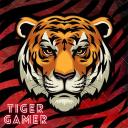TigerMC Discord Server Banner