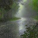 Dmflia Discord Server Banner