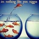 More Life Discord Server Banner