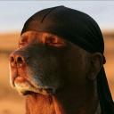 Random Basement Discord Server Banner