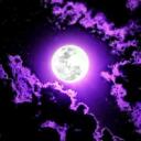 The Nightlife : Hangout and Chil Discord Server Banner