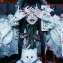 ｢雅楽代」ｍｅｒｃｕｒｏ            ₊˚⊹ ᰔ Discord Server Banner