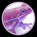 \\_Frog Team_// Discord Server Banner