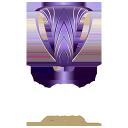 AFC CHAMPIONS LEAGUE ELITE TF Discord Server Banner