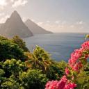 Isla🏝️ Island Paradise! Discord Server Banner