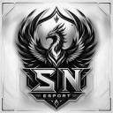 SN Esport 🔥 Discord Server Banner