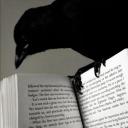 The Crows Library Discord Server Banner