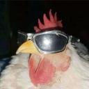 Comunidade Galinhudo Discord Server Banner