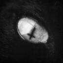 /KURDVOID Discord Server Banner