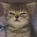 BlazedCat 😺 (Sfw | Emojis) Discord Server Banner