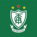 Coelho-Art Discord Server Banner