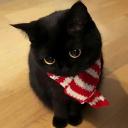 Steal a brainrot Discord Server Banner