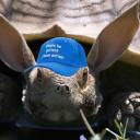 Mimu Discord Server Banner