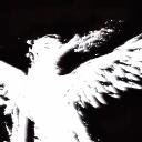 Luciérnagas de Dios Discord Server Banner