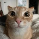 chinese steel factory Discord Server Banner